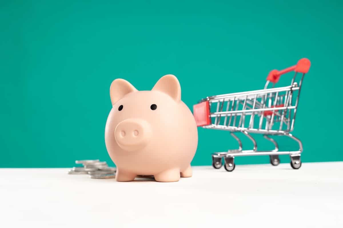 shopping  économies