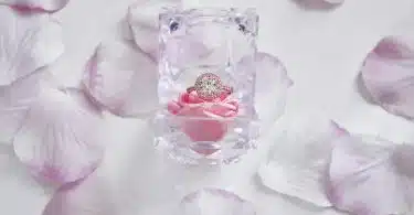 clear glass perfume bottle on pink flower petals